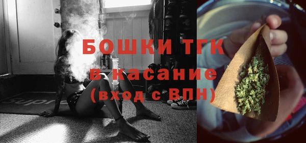 шишки Бабаево