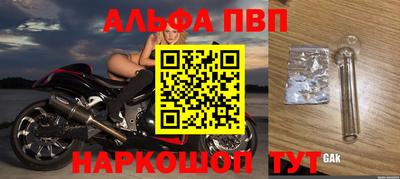 спиды Аргун
