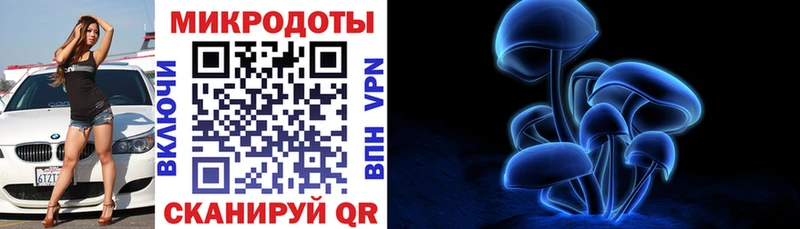 как найти наркотики  Великий Новгород  Псилоцибиновые грибы Magic Shrooms 