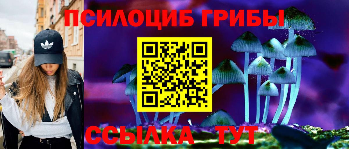 Галлюциногенные грибы GOLDEN TEACHER Великий Новгород