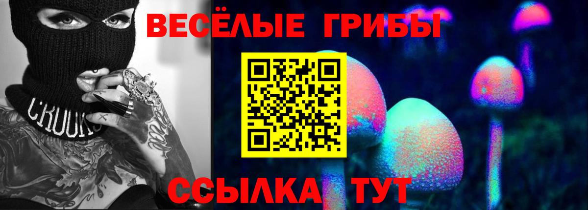 Псилоцибиновые грибы GOLDEN TEACHER Великий Новгород