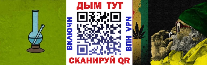 магазин продажи   Великий Новгород  Конопля гибрид 